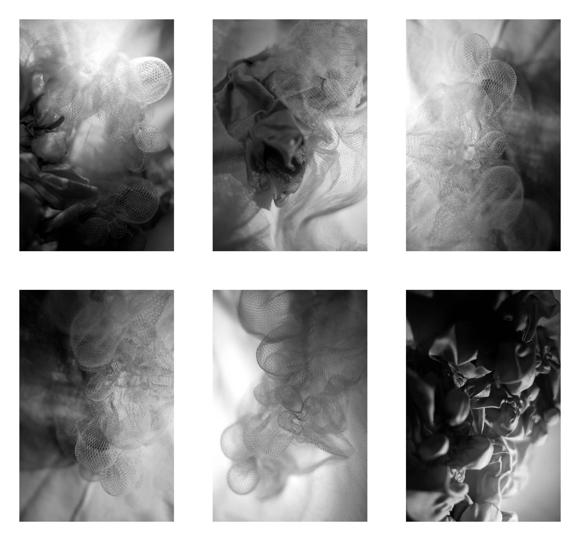I worked with different textiles and fabric manipulation techniques to create different concepts of organic form. I shot the series with high-contrast lighting and macro photography to help in creating an immersive atmosphere of nebulousness and ambiguity. The fabric takes on a new life and is no longer cloth but something alive and growing. (©I worked with different textiles and fabric manipulation techniques to create different concepts of organic form. I shot the series with high-contrast lighting and macro photography to help in creating an immersive atmosphere of nebulousness and ambiguity. The fabric takes on a new life and is no longer cloth but something alive and growing.)