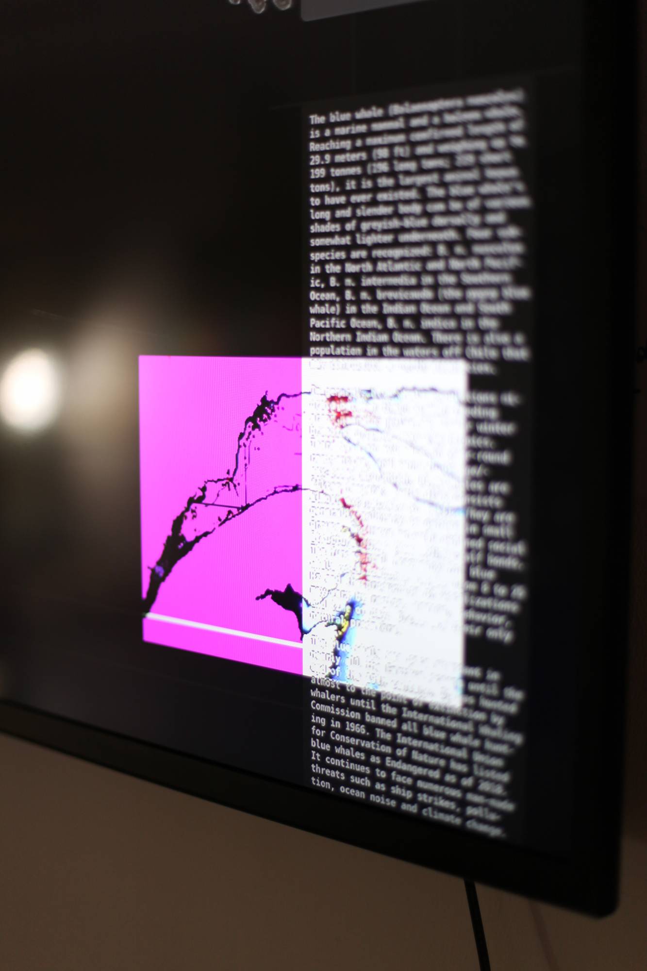 Trust your (graphical) System &mdash; Exhibition (©)